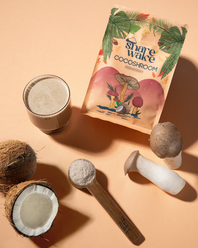 Iced Chocolate Milk Rezept mit Chocoshroom